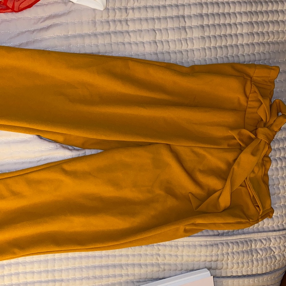 Dress pants